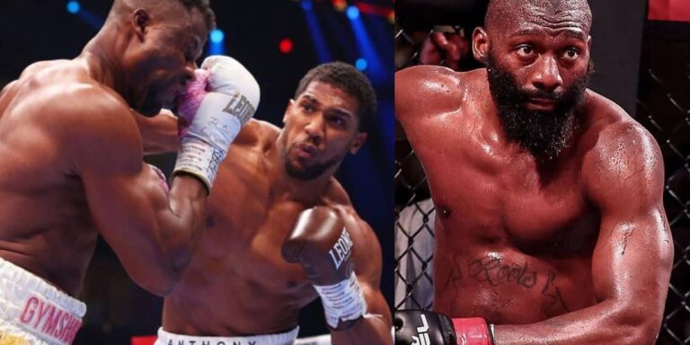 Les deux camerounais Francis Ngannou et Cédric Doumbé battus
