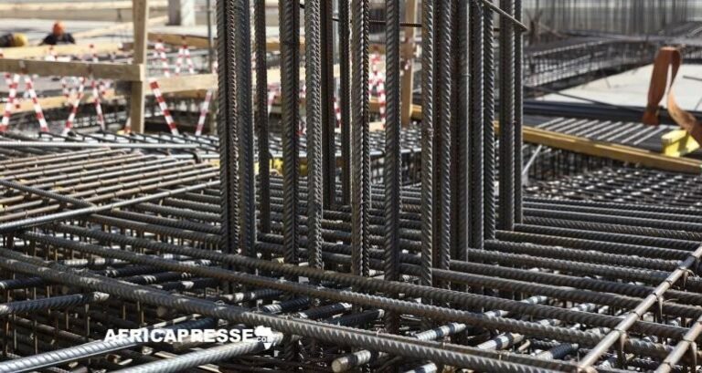 Niger : Une usine de fabrication de fer à béton voit le jour à Tahoua, offrant 120 emplois aux jeunes