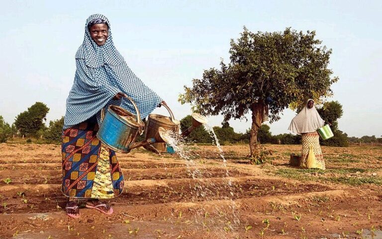 Financement de l’agriculture en Afrique subsaharienne : Le double défi des populations vulnérables pour la sécurité alimentaire et la compétitivité