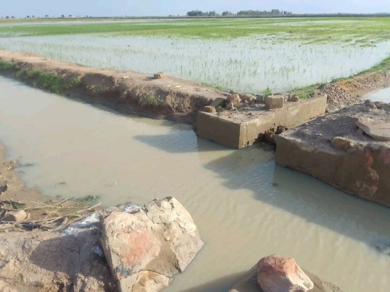 Crue exceptionnelle 2024 à Niafunké : Possible déficit agricole